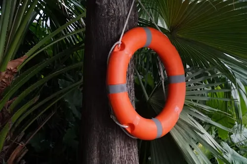 An orange life ring hanging from a palm tree